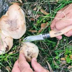 Navaja para setas Opinel 8