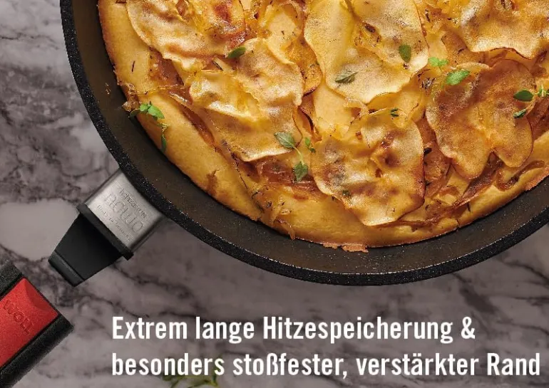 Sarten Woll titanio 20 Cms