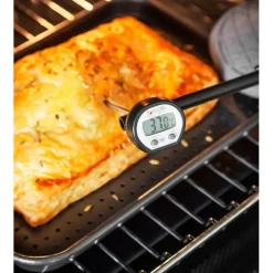 Termometro cocina digital con pincho