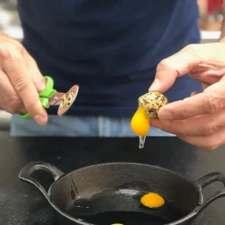 Tijera para huevos de codorniz